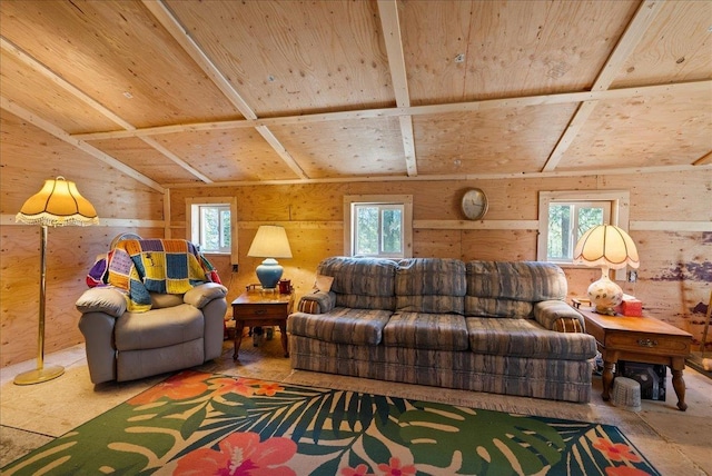 5 Crestview Rd, Kettle Falls, WA 99141 - living area featuring vaulted ceiling, wood ceiling, and wooden walls