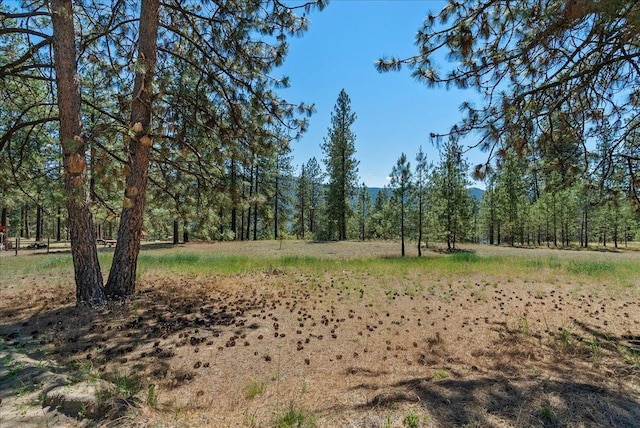 5 Crestview Rd, Kettle Falls, WA 99141 - view of tree filled area