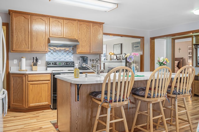 202 W Columbia Ave, Spokane, WA 99205 - kitchen featuring under cabinet range hood, light wood-type flooring, range with electric cooktop, light countertops, and an island with sink