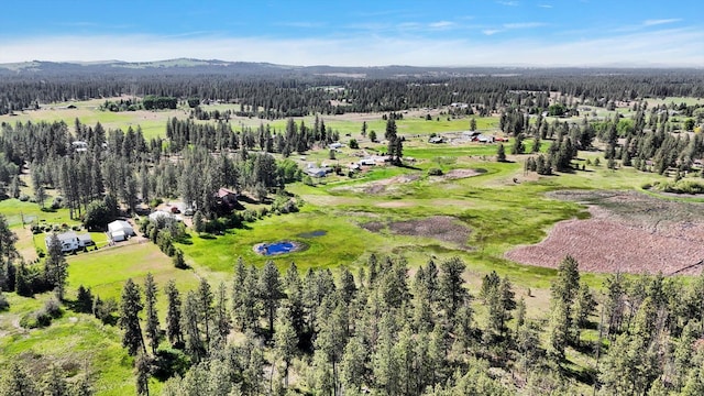 13625 S Sherman Rd, Spokane, WA 99224 - drone / aerial view of a heavily wooded area