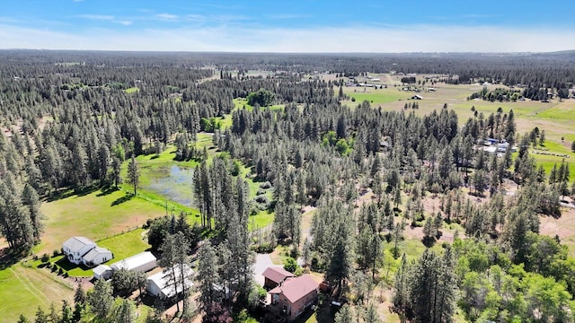 13625 S Sherman Rd, Spokane, WA 99224 - bird's eye view of a forest