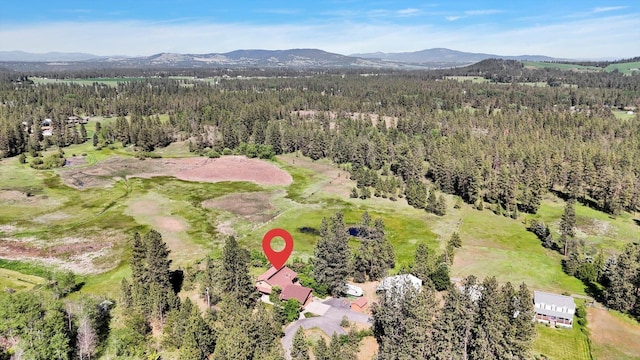 13625 S Sherman Rd, Spokane, WA 99224 - aerial overview of property's location featuring a forest and a mountainous background