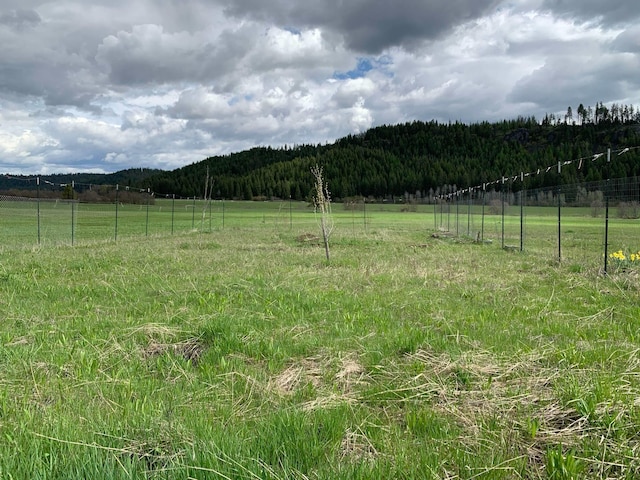 4681 Springdale Hunters Rd, Springdale, WA 99173