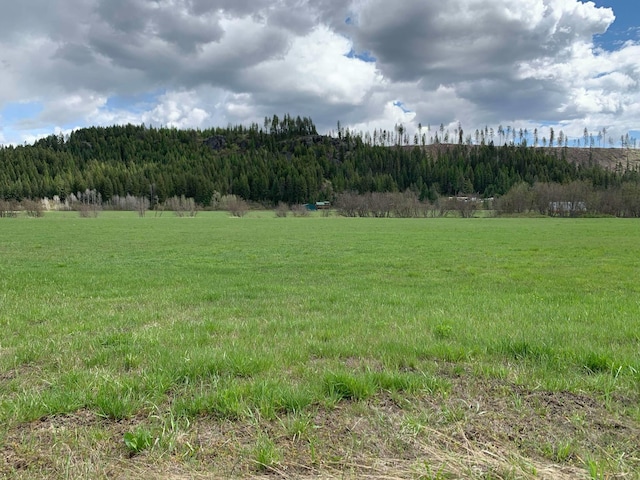 4681 Springdale Hunters Rd, Springdale, WA 99173