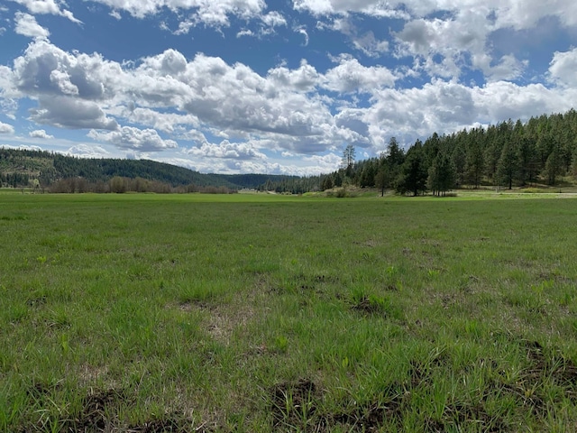 4681 Springdale Hunters Rd, Springdale, WA 99173