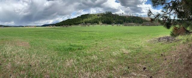 4681 Springdale Hunters Rd, Springdale, WA 99173