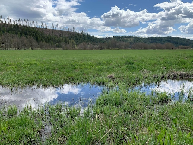 4681 Springdale Hunters Rd, Springdale, WA 99173
