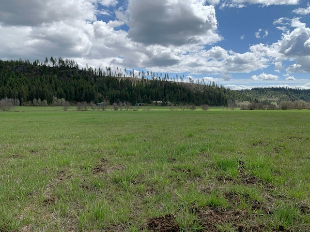 4681 Springdale Hunters Rd, Springdale, WA 99173