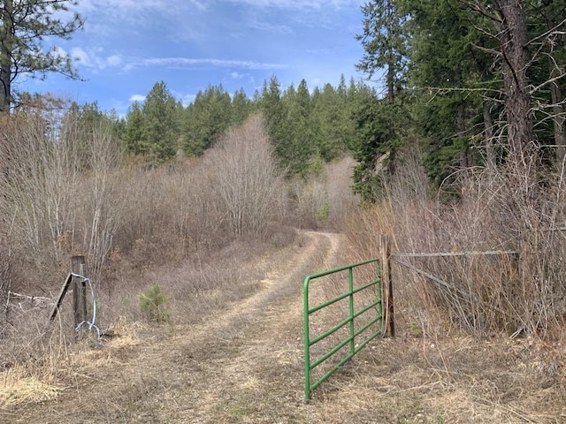 4639 Howard Hills Way, Loon Lake, WA 99148 - photo 1