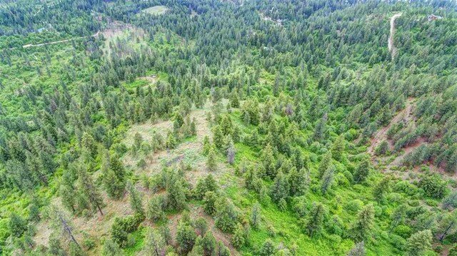 4639 Howard Hills Way, Loon Lake, WA 99148 - photo 14