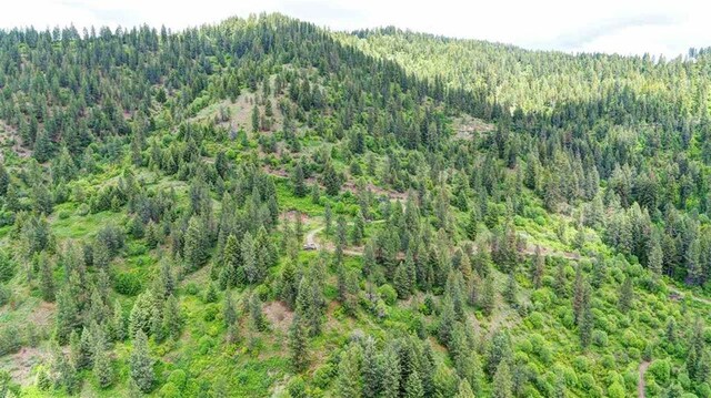 4639 Howard Hills Way, Loon Lake, WA 99148 - photo 15