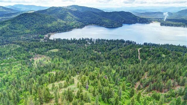4639 Howard Hills Way, Loon Lake, WA 99148 - photo 16