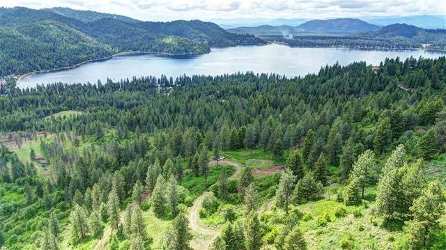 4639 Howard Hills Way, Loon Lake, WA 99148 - photo 17