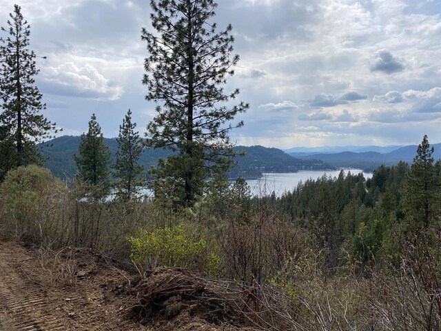 4639 Howard Hills Way, Loon Lake, WA 99148 - photo 18