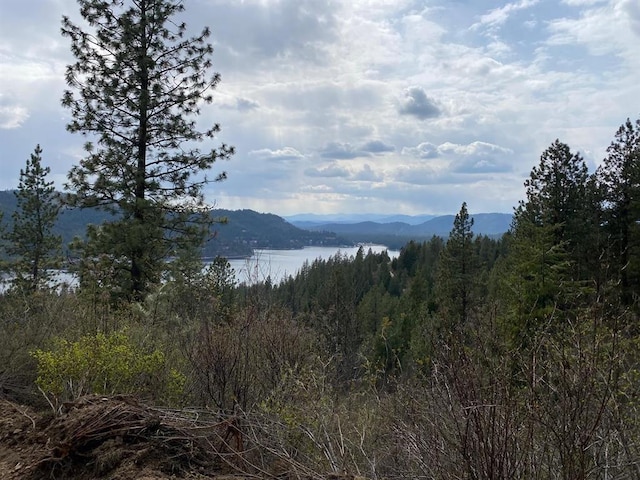 4639 Howard Hills Way, Loon Lake, WA 99148 - photo 19