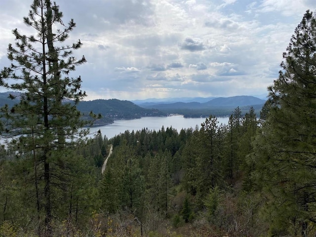 4639 Howard Hills Way, Loon Lake, WA 99148 - photo 21