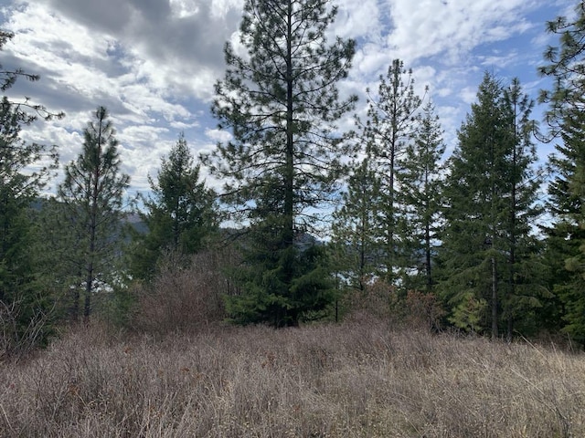 4639 Howard Hills Way, Loon Lake, WA 99148 - photo 5