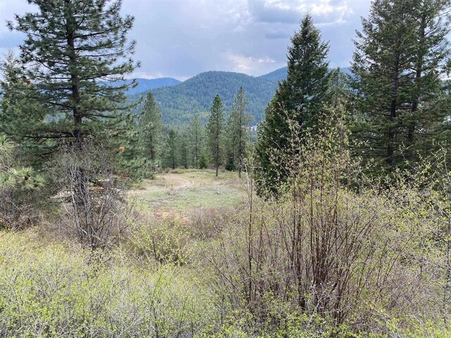 4639 Howard Hills Way, Loon Lake, WA 99148 - photo 7