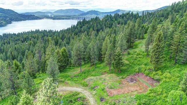 4639 Howard Hills Way, Loon Lake, WA 99148 - photo 9