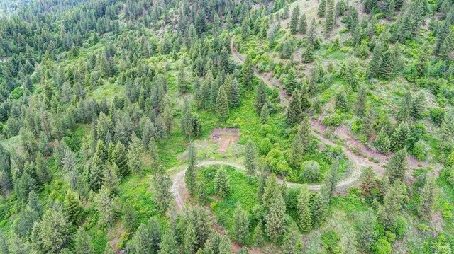 4639 Howard Hills Way, Loon Lake, WA 99148 - photo 10