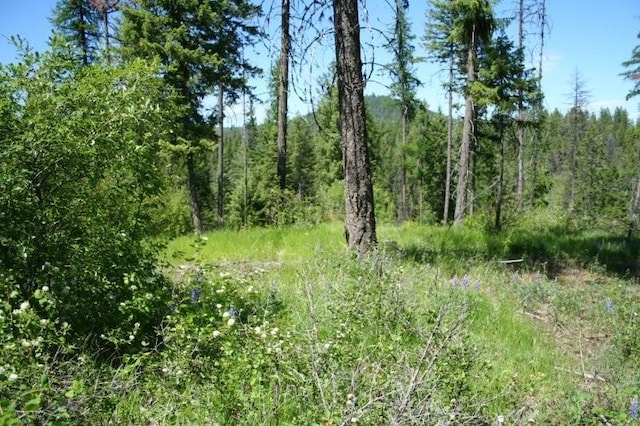 5310 Olinger Rd, Springdale, WA 99173