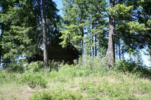 5310 Olinger Rd, Springdale, WA 99173