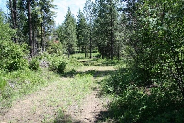 5310 Olinger Rd, Springdale, WA 99173