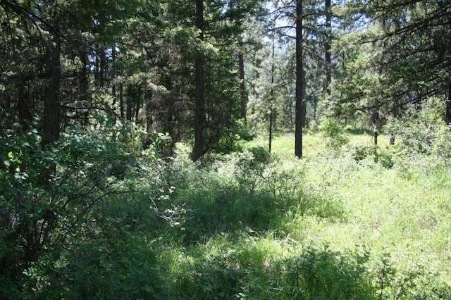 5310 Olinger Rd, Springdale, WA 99173