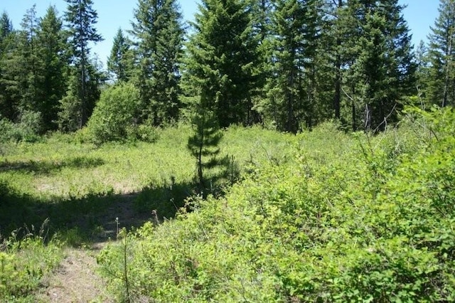 5310 Olinger Rd, Springdale, WA 99173