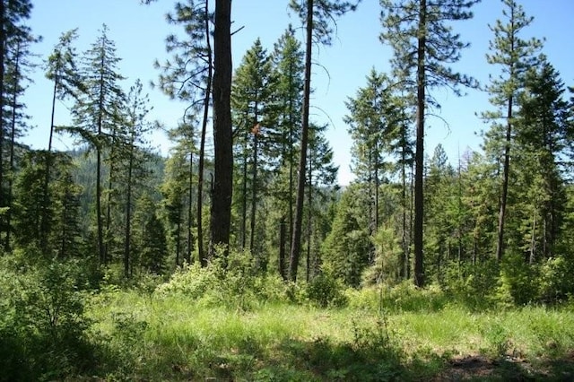 5310 Olinger Rd, Springdale, WA 99173