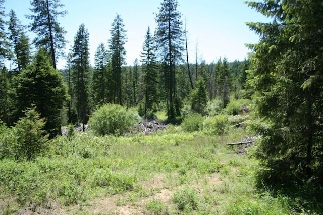 5310 Olinger Rd, Springdale, WA 99173