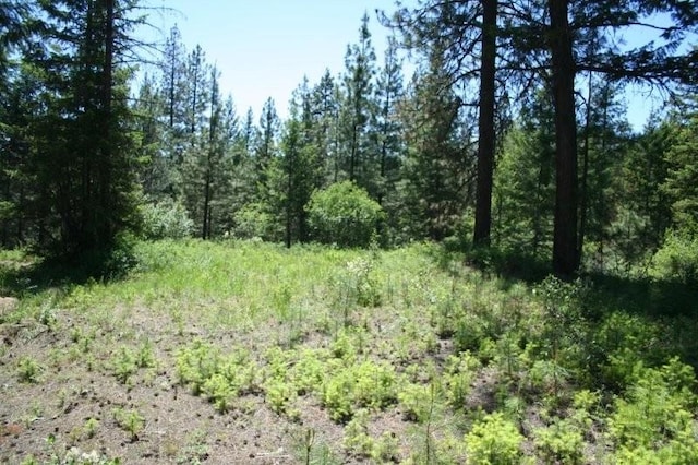 5310 Olinger Rd, Springdale, WA 99173