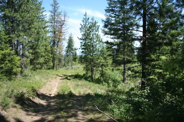 5310 Olinger Rd, Springdale, WA 99173
