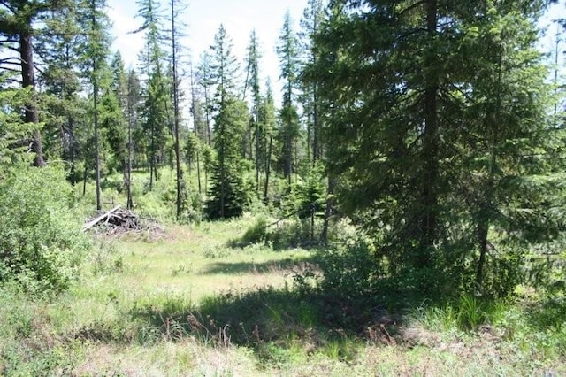 5310 Olinger Rd, Springdale, WA 99173