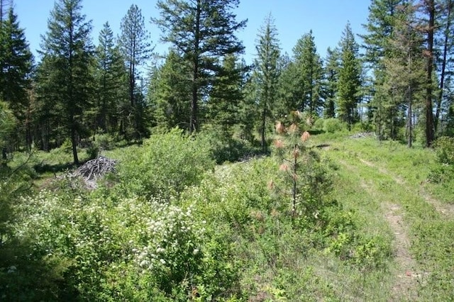 5310 Olinger Rd, Springdale, WA 99173