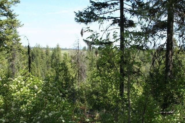 5310 Olinger Rd, Springdale, WA 99173