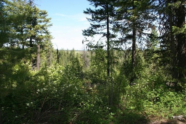 5310 Olinger Rd, Springdale, WA 99173