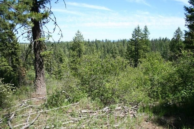 5310 Olinger Rd, Springdale, WA 99173