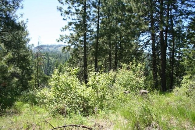 5310 Olinger Rd, Springdale, WA 99173