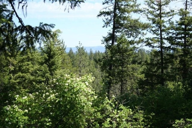 5310 Olinger Rd, Springdale, WA 99173