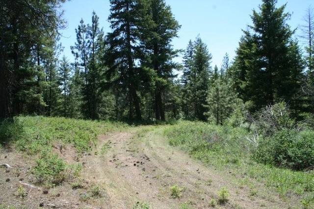 5310 Olinger Rd, Springdale, WA 99173