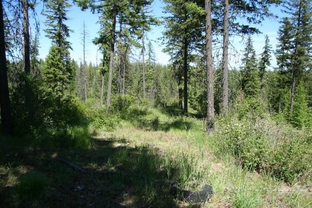 5310 Olinger Rd, Springdale, WA 99173