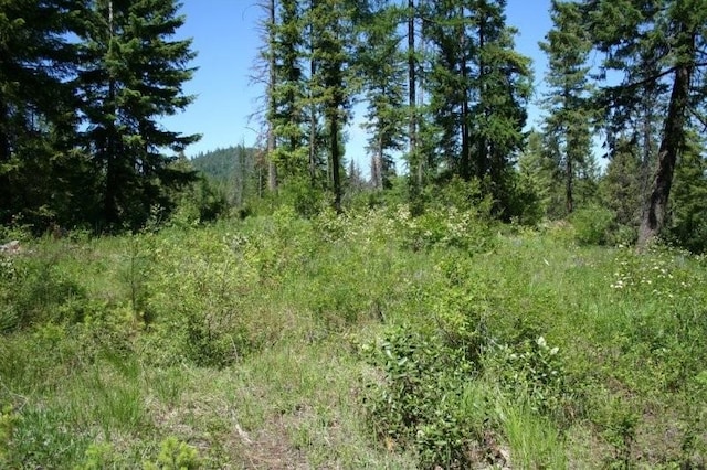 5310 Olinger Rd, Springdale, WA 99173