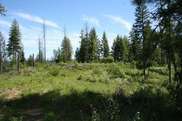 5310 Olinger Rd, Springdale, WA 99173
