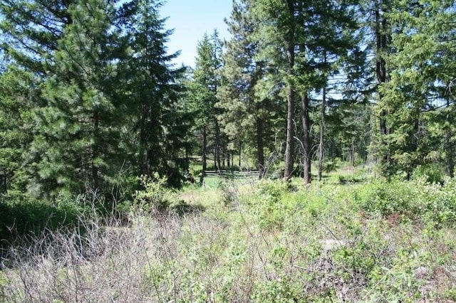 5310 Olinger Rd, Springdale, WA 99173