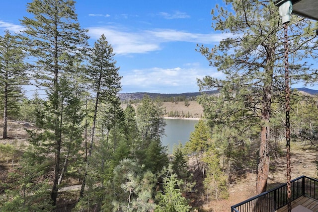 21101 N Byrne Ln, Nine Mile Falls, WA 99026 - photo 30
