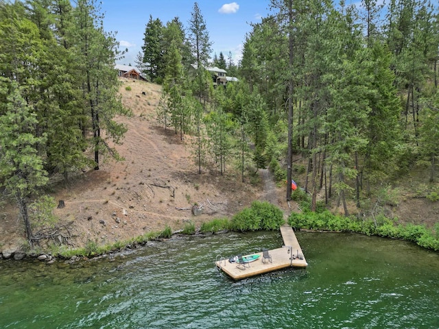 21101 N Byrne Ln, Nine Mile Falls, WA 99026 - photo 33