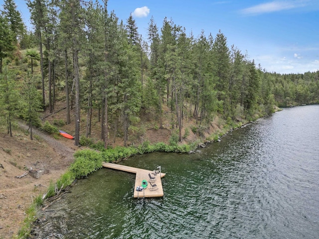 21101 N Byrne Ln, Nine Mile Falls, WA 99026 - photo 34