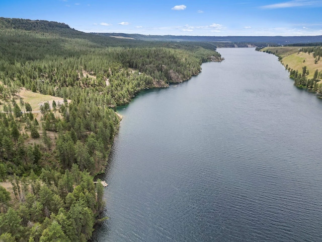 21101 N Byrne Ln, Nine Mile Falls, WA 99026 - photo 35