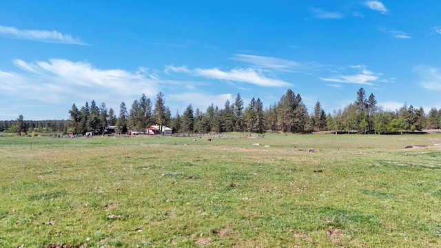 14414 S Stangland Rd, Cheney, WA 99004 - photo 35